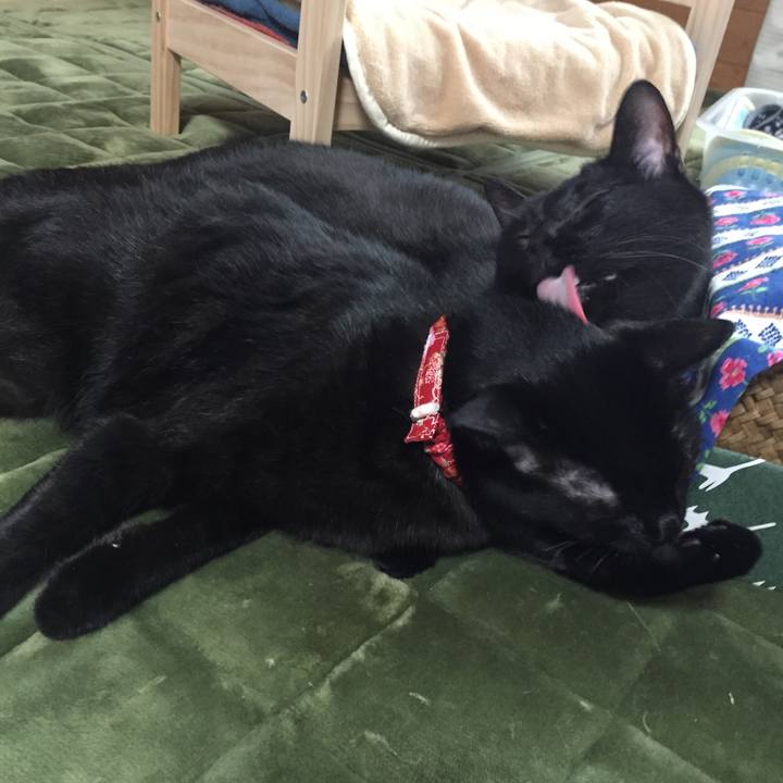 A4f98bbc 61cc 4c0e af2d 7e65726bbc57