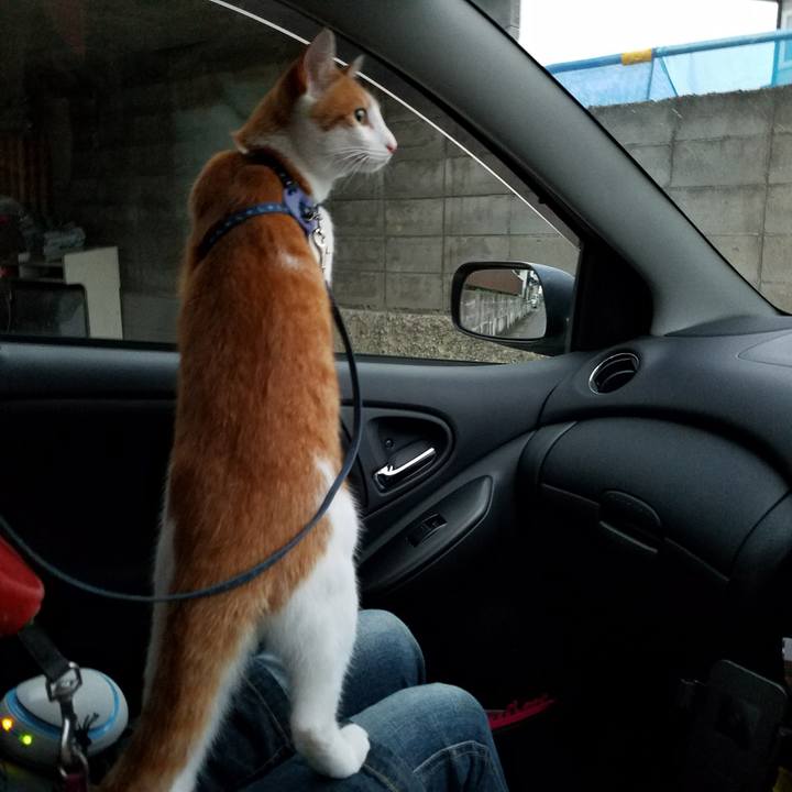 A4f9f0a1 194c 4f23 90c8 ee29cee6400d