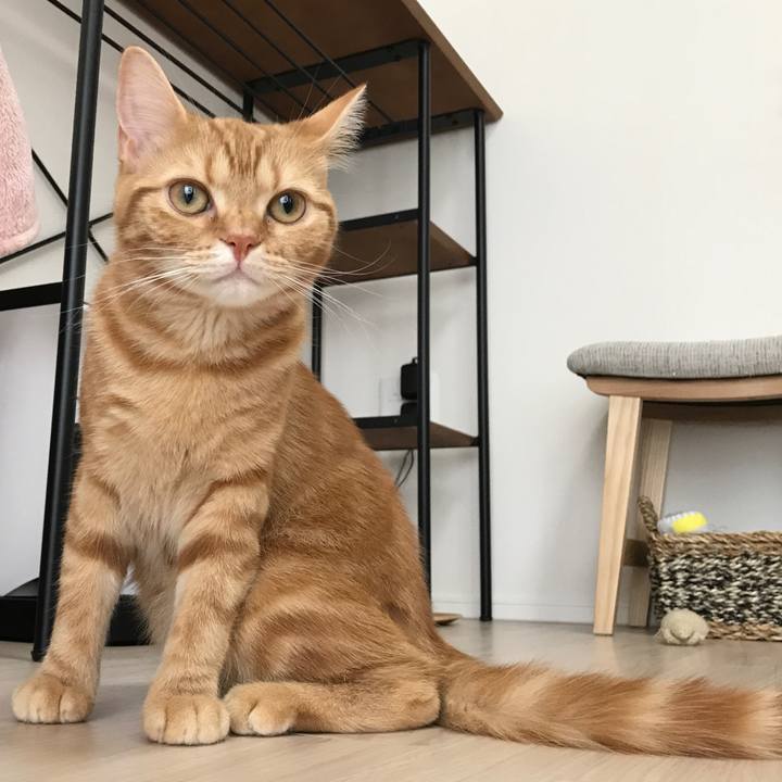 A4fabc55 9455 408b b727 90e55e436fd7