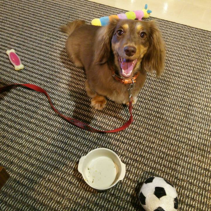 A4fad0db f522 489d aa5c effacd87c898