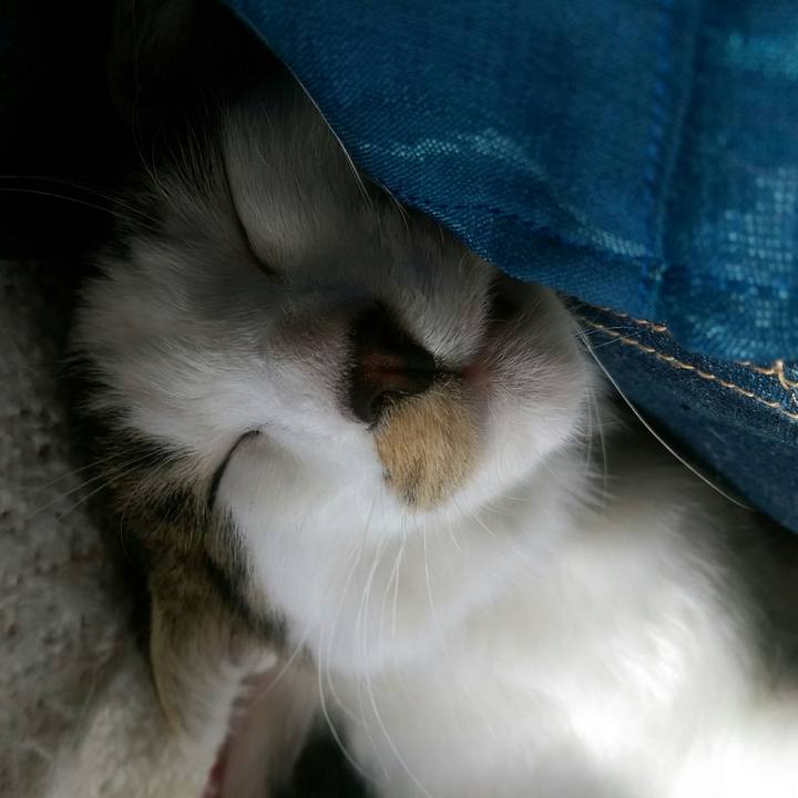 A4fb3187 86a1 49a5 8090 4a1e33dabcdc