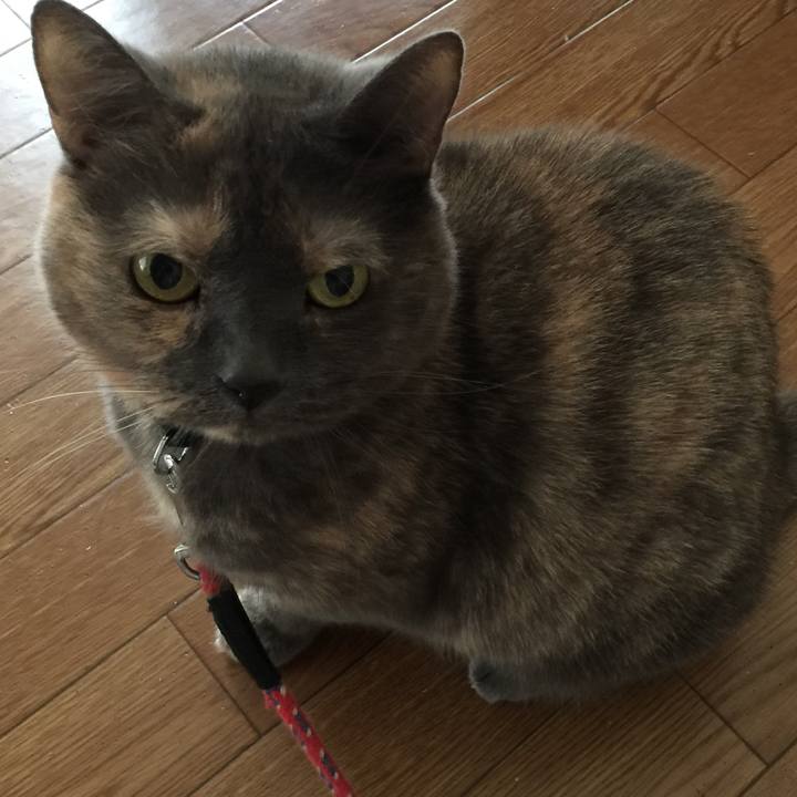 A4fb6a83 22c6 4471 931d e0a171c5009b