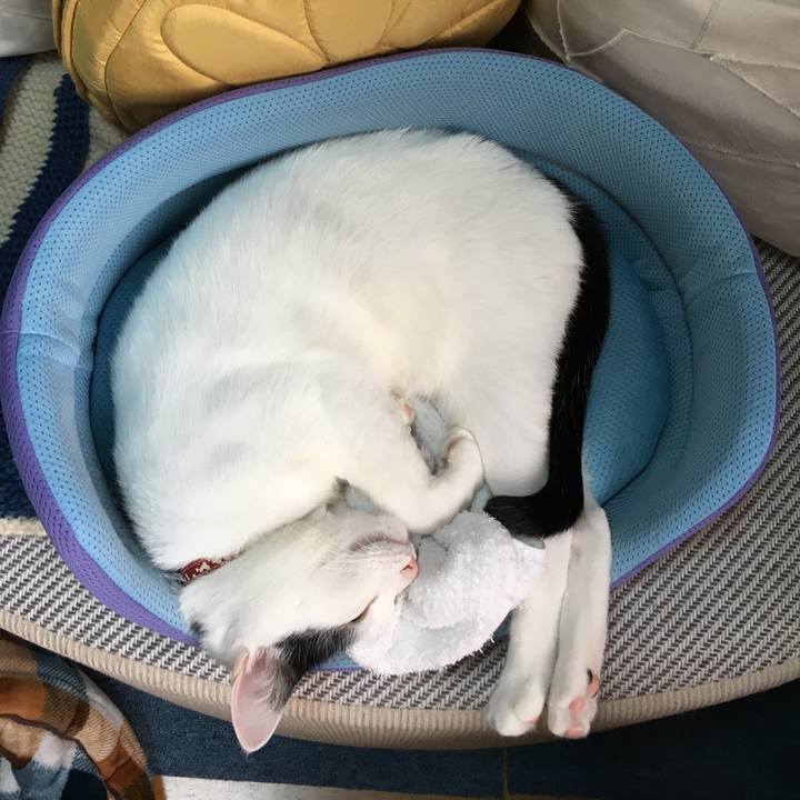 A4fbf1f3 441b 4deb bf6c d136002da046