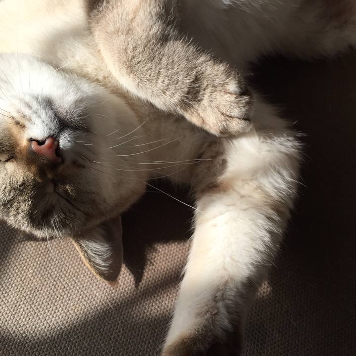 A4fc6c46 edc9 40c2 8e09 bb169f08962e