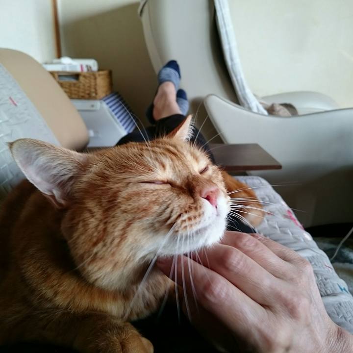 A4fd0122 747f 4d60 be2a c879d315b938