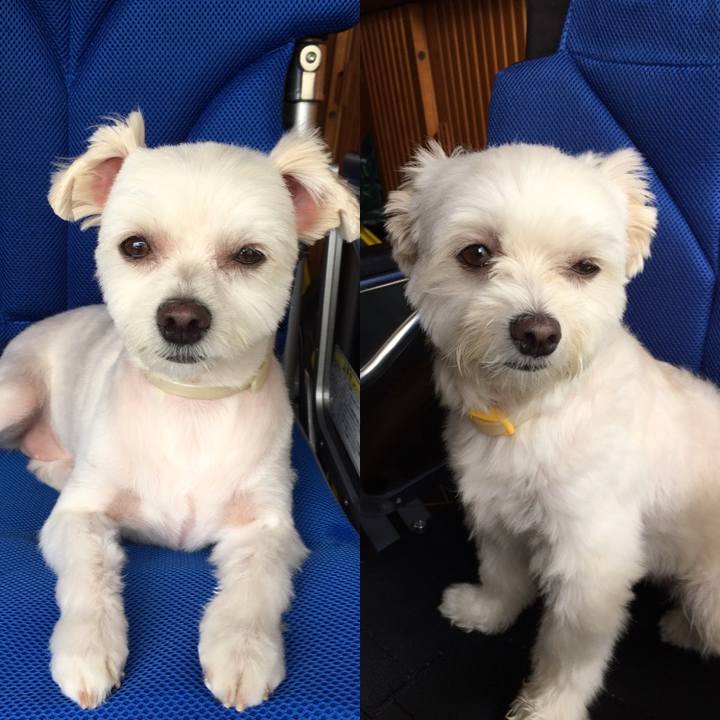 A4fd064c 1aef 427b 9be8 e9d7fc44a5bb