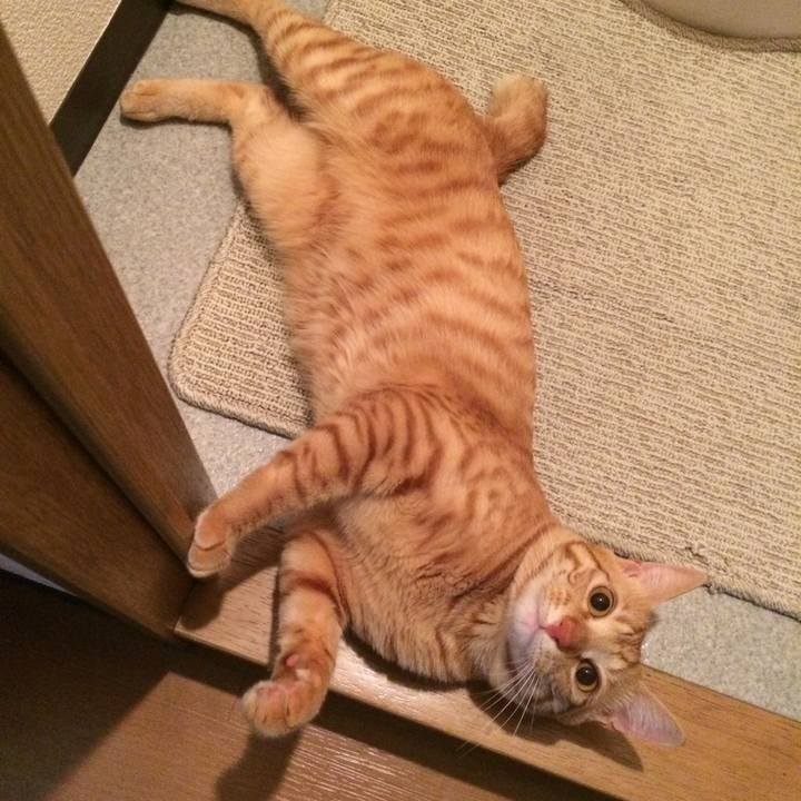 A4fd3acf 830b 4878 9e8f 9db51b3f3456