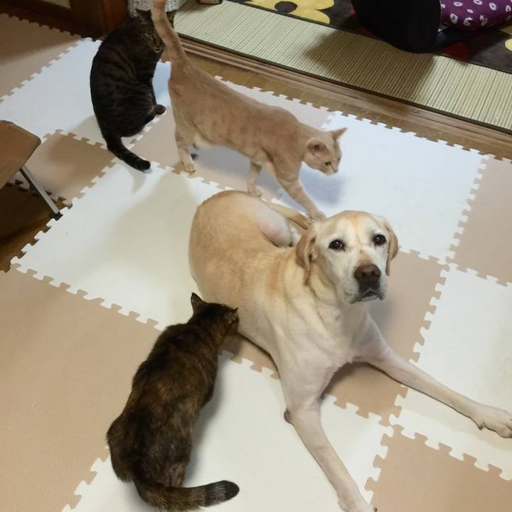 A4fed13e 1edb 4f18 b45c c4834bba206d