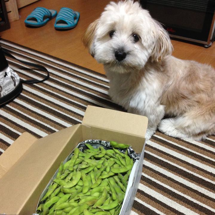 A4ff00e0 74b4 4c4b b892 914cb74e40f6