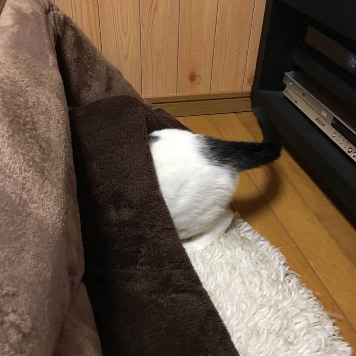 A500b5c7 b025 48eb 8c64 83939cee6a53