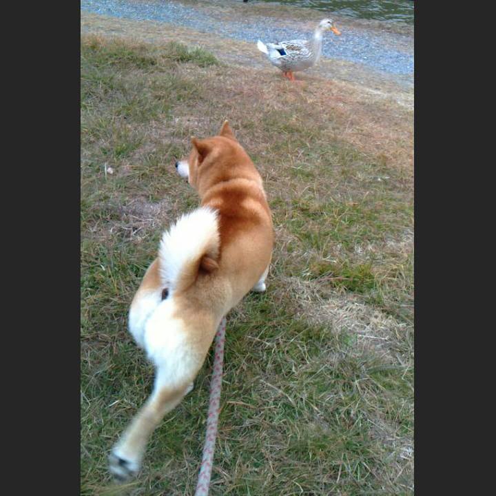 A500b689 3b01 40f8 bd10 a48c7e0faba9