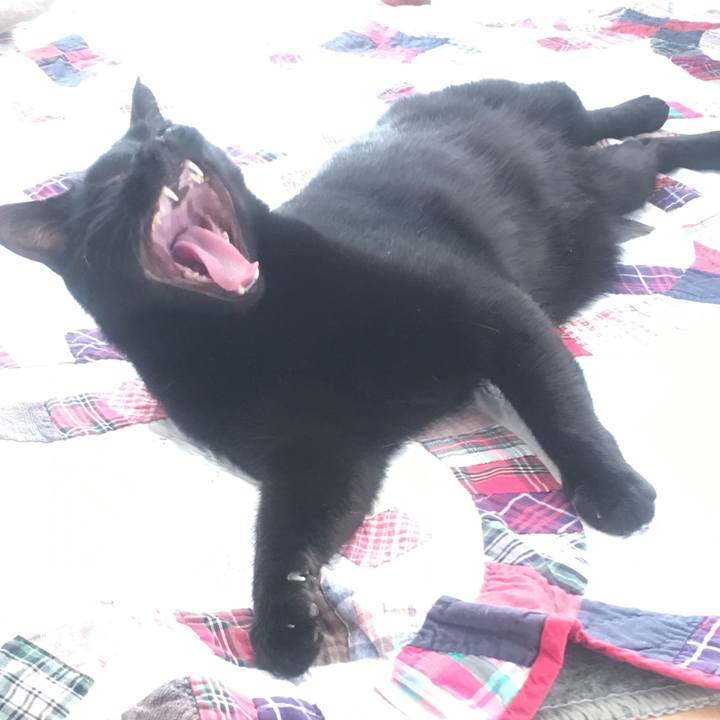 A5019b91 2e1b 4f8f 9360 5853bc00b267