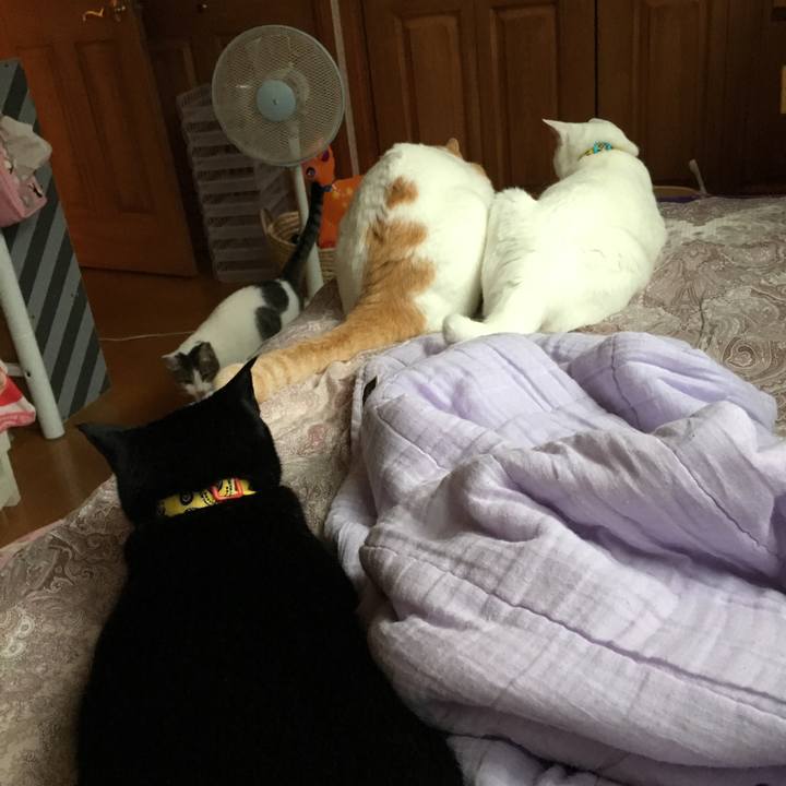 A501f2bc dd47 4dec a6ee 3b3593d8faf2