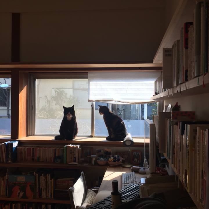 A50261e2 1deb 4d6d 9305 e10d815ba52b