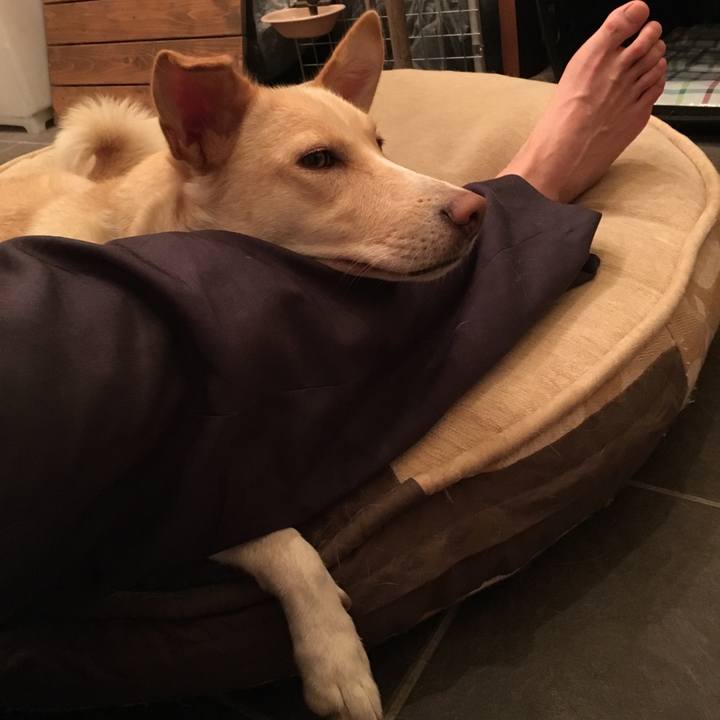 A502d385 867b 429c b913 fff5a73659af