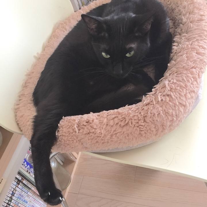 A5033aee 9fc2 4bc7 a454 f6776c91ff0b