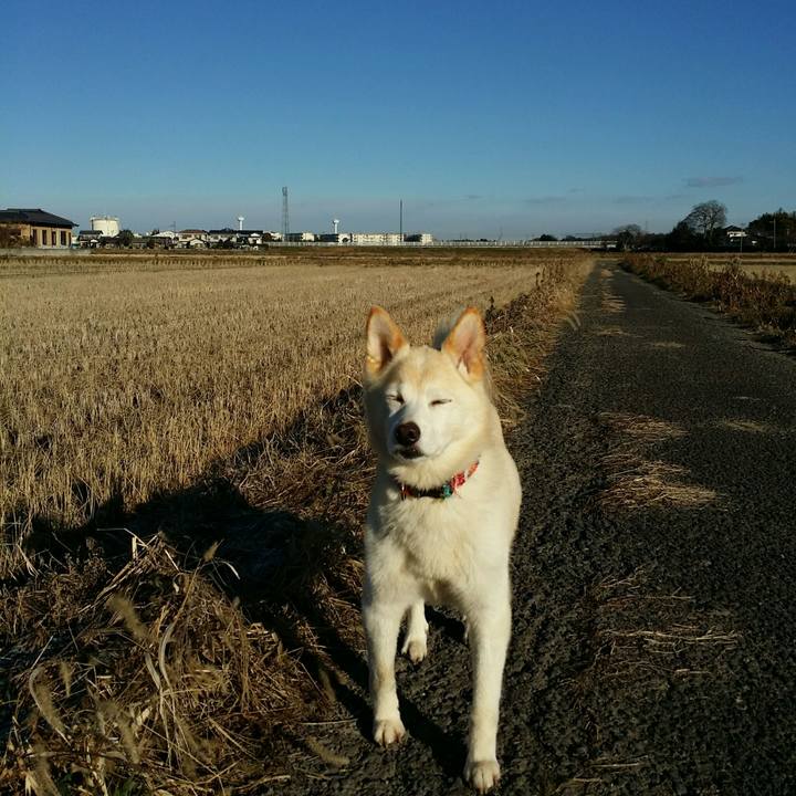 A5034632 1de4 489e ab65 acf14196aef6