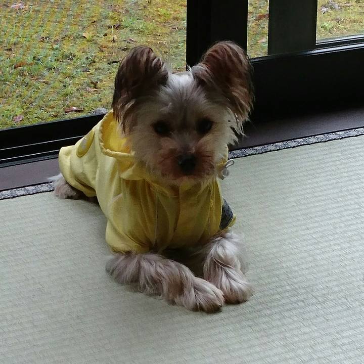 A5034e5f 9c4b 47f7 9b1d cd017fd0bcdc