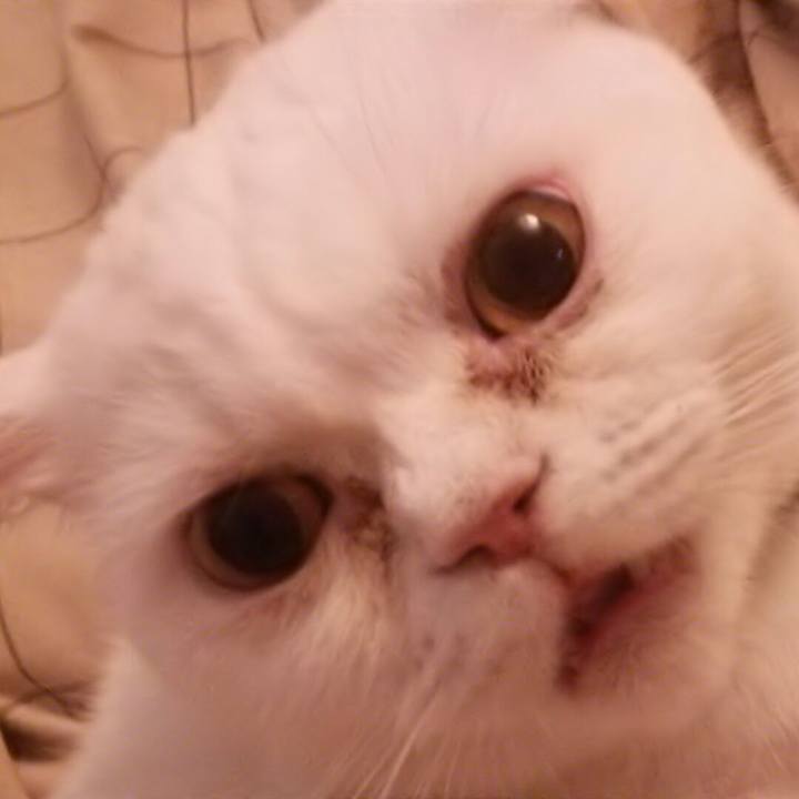 A50391aa 49f0 4533 bd85 5ebbeb3d8c34