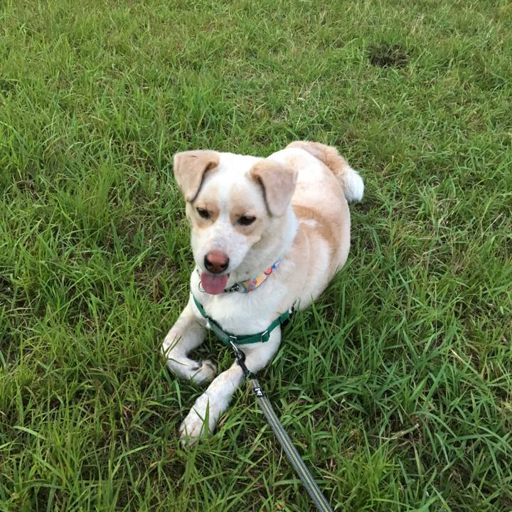 A5041928 0a9f 4a98 a6a1 f3a4d4040cfc