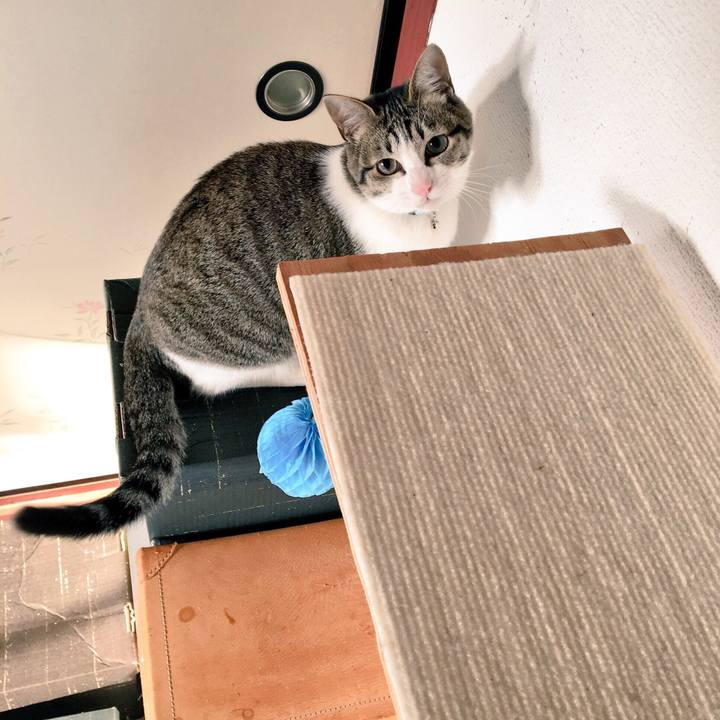 A50492ca 3eac 4d72 acff 5cd1f51bb316