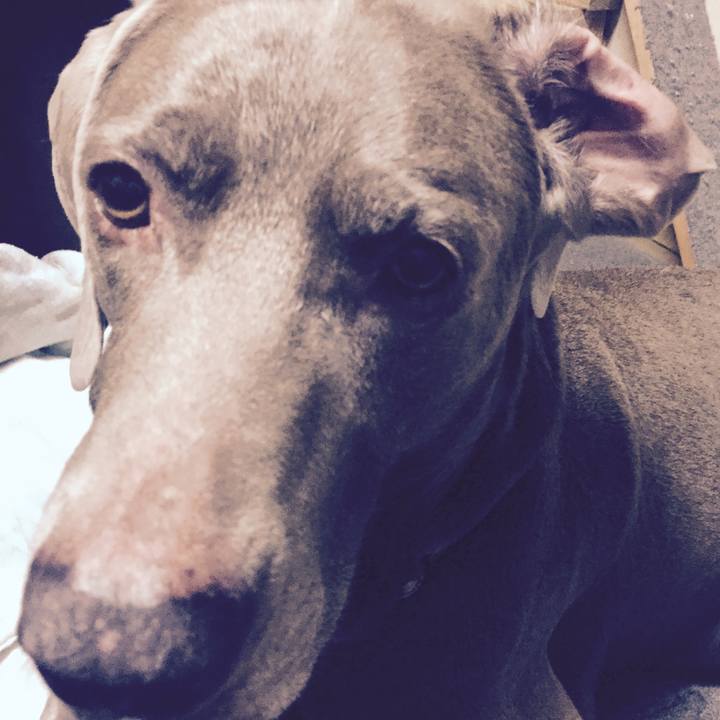 A504a37e 0813 4b53 a700 dd654b617fe6