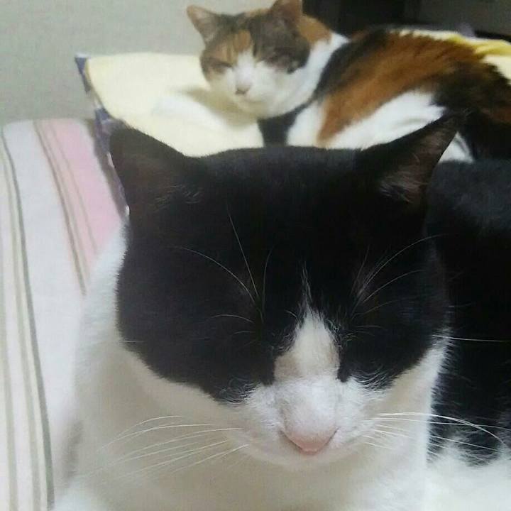 A504c8cd 2363 44ad bc5d 81409d026d5f