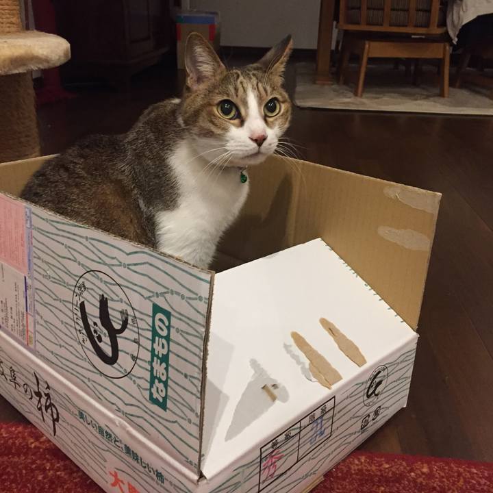 A5059432 0967 4f33 aac4 ece6ee2305a7