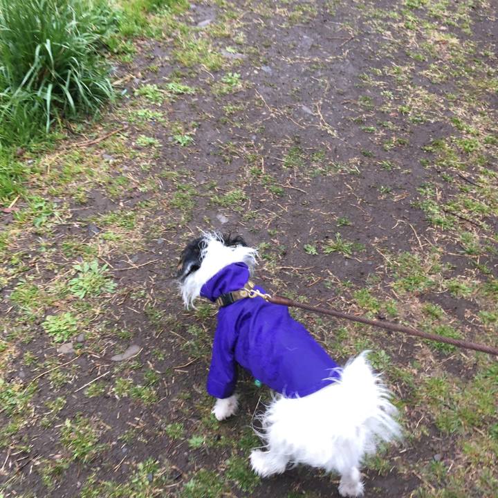 A505a049 4999 44e4 a950 460cd305e6cf