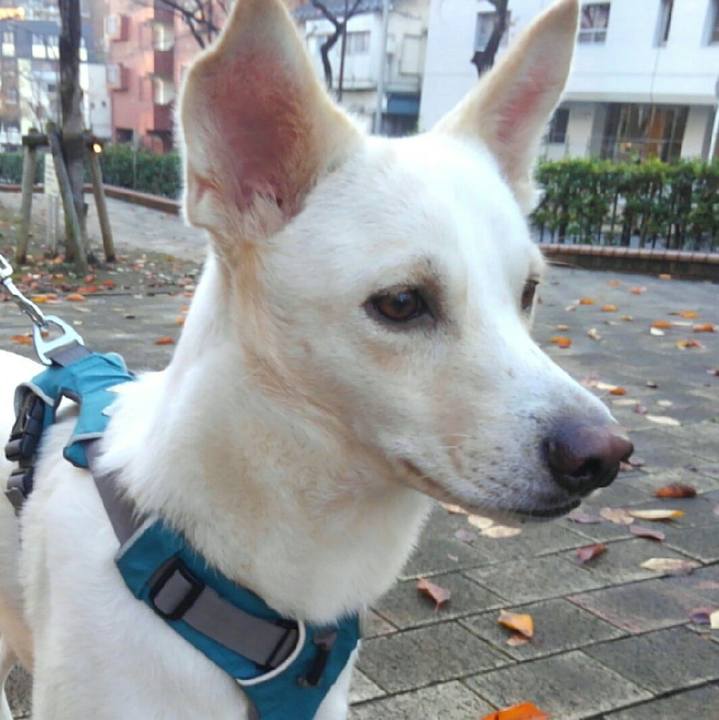 A505c911 2443 4bc6 9e19 0c274e080be4