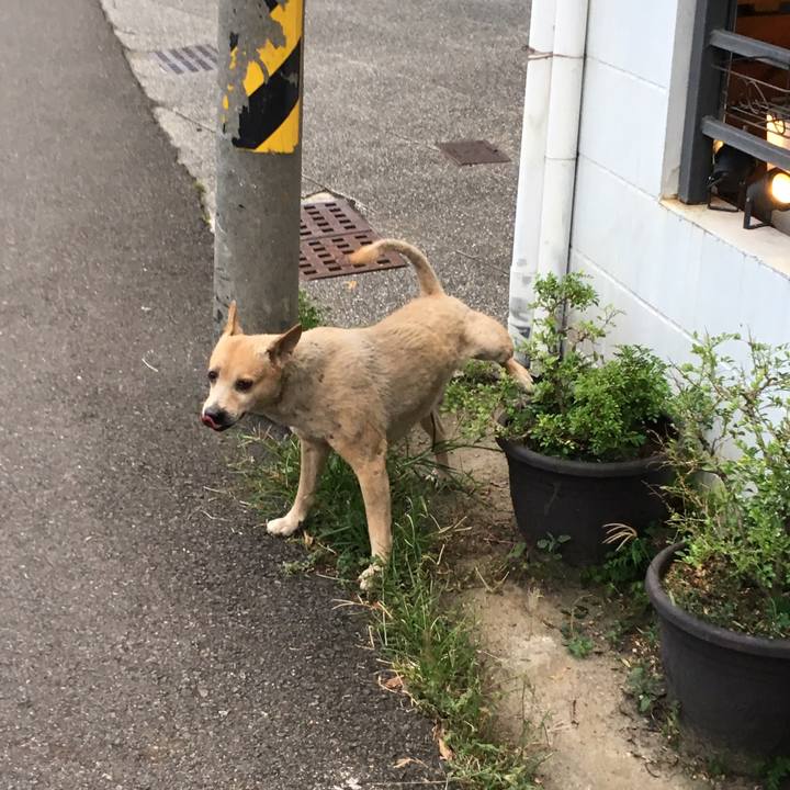 A5068893 2658 4b35 9057 6ceb92481ae8