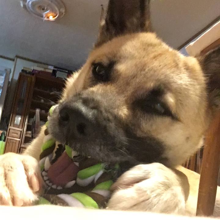 A506ba49 b263 4255 977c 33810325df85