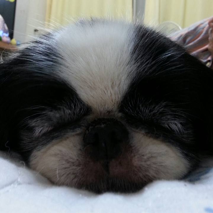 A506c8ab a0fc 4c38 a737 72baed3b59b9