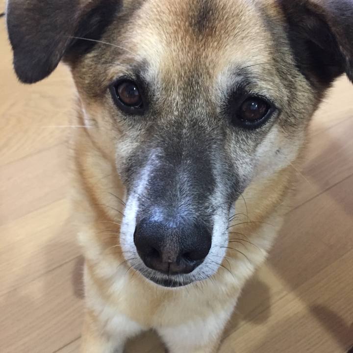 A506fe0b 9b57 4468 837c cdbce5b0ddea