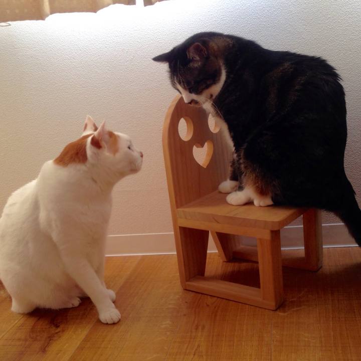 A507a7cc c767 453d 928d 468b84eb5f68