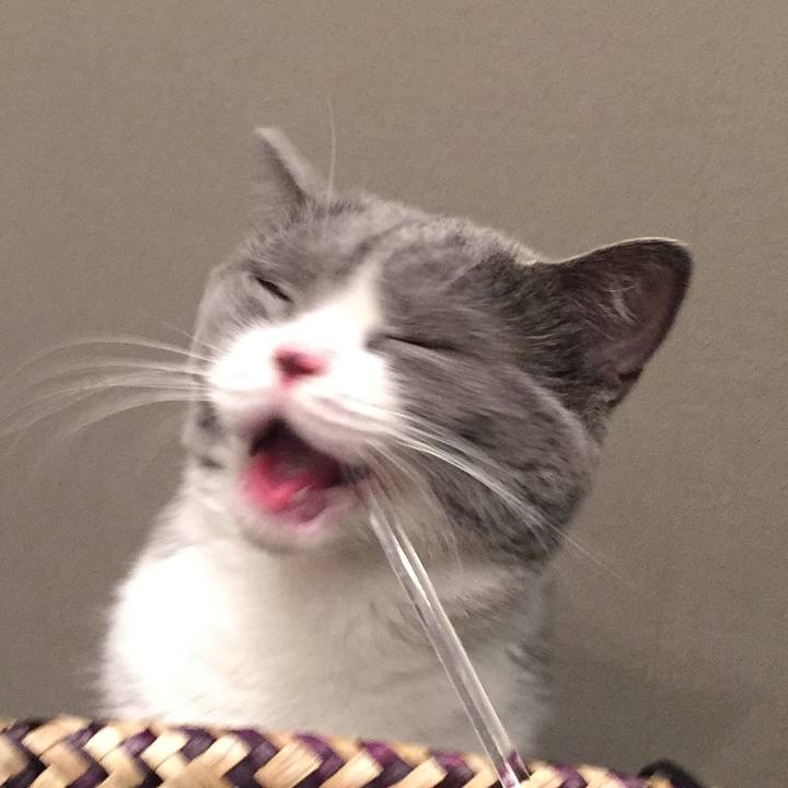 A507dcf1 980e 48b0 a469 4b0b9d350336