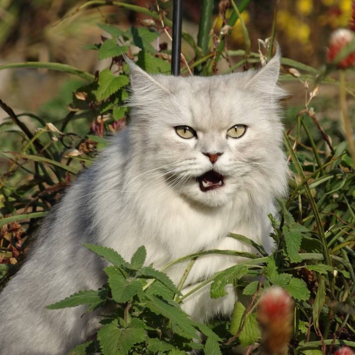 A507f9dd 33ab 477a b222 d66060738584