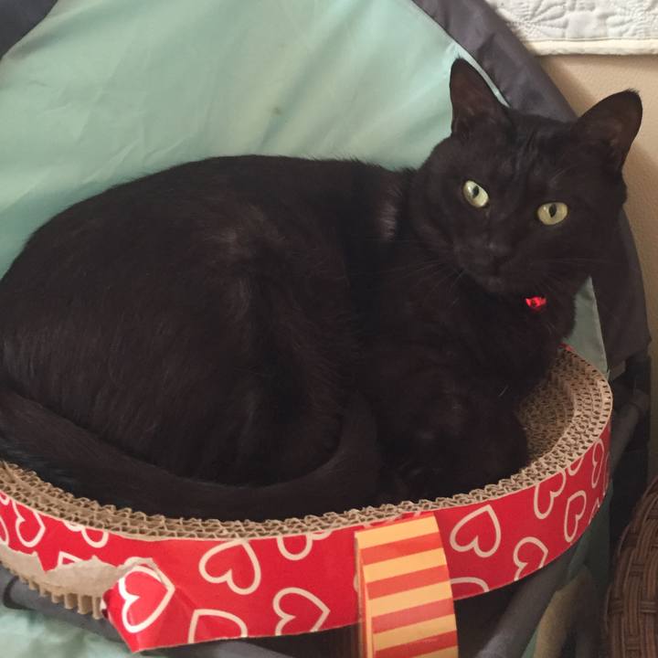 A50804be 1fd5 420c 8d37 16ae6e700f52