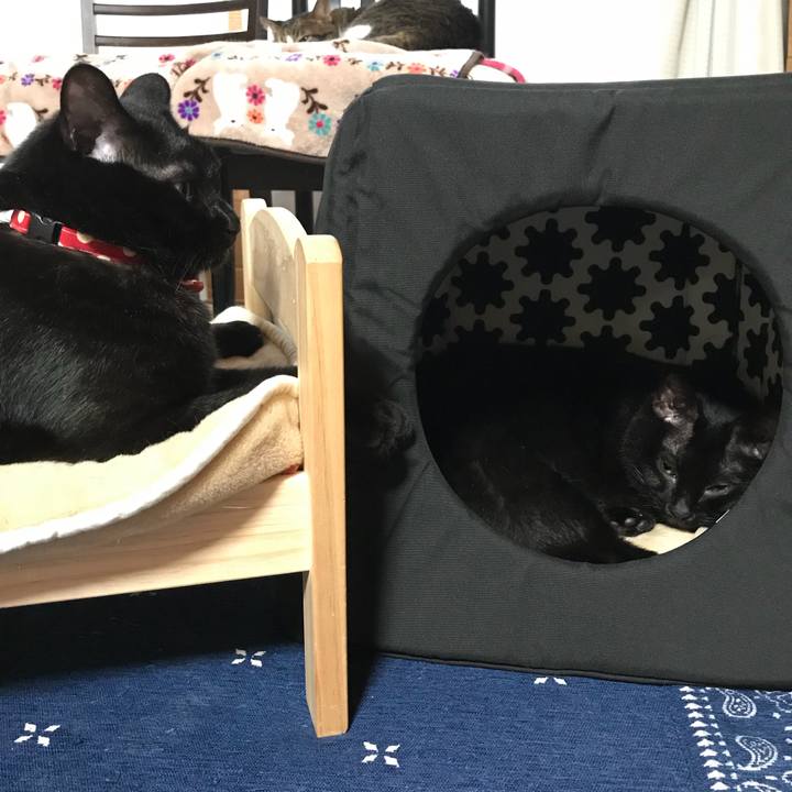 A5085ae4 4f62 4c5d b4e4 276898097bed