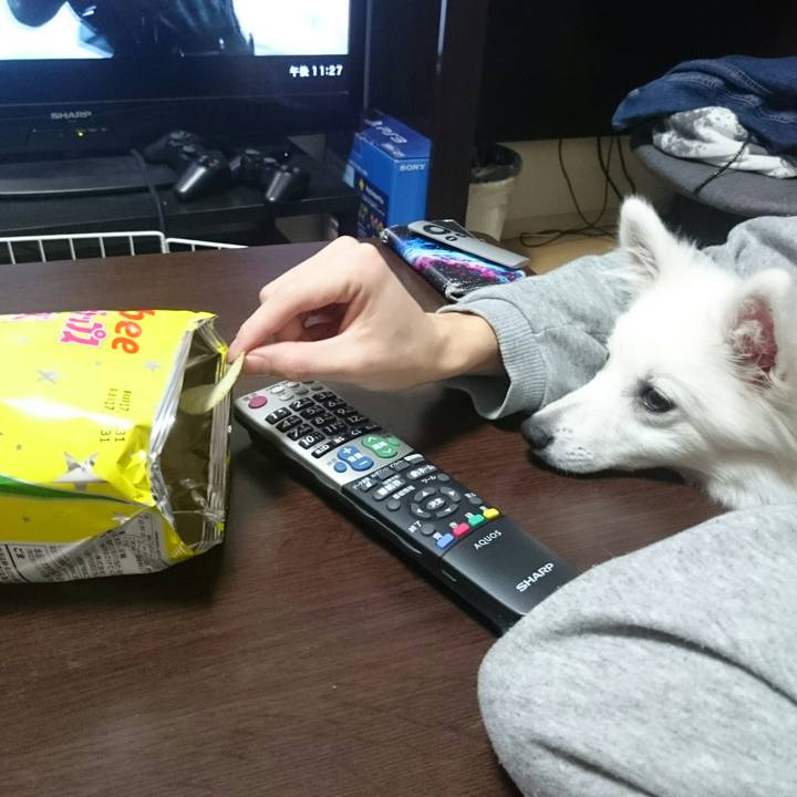 A50948ea d090 44b4 b85d 6350fa6c702a