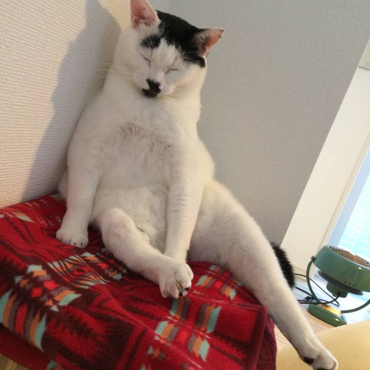 A509ca49 9549 4889 bb19 c5182ca14223