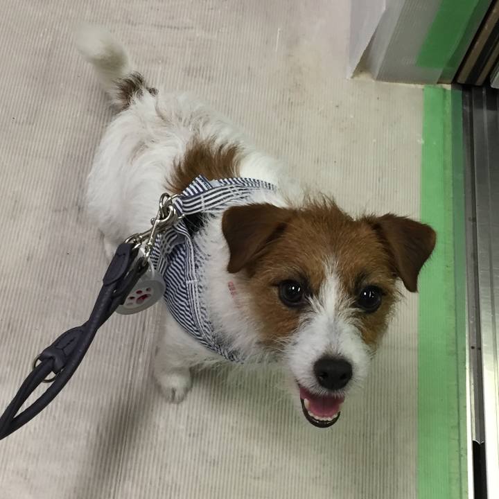 A509e125 6603 4076 bb00 f6a67e05dc76