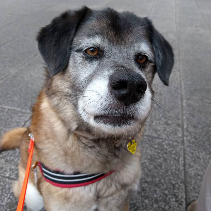 A509e1e2 38a0 4b11 bd3a 4ad80ca33bf9