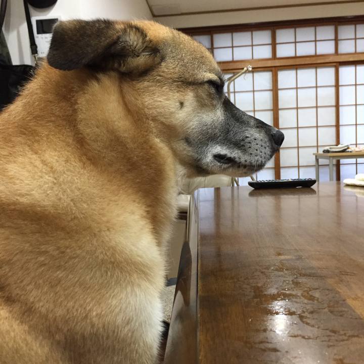 A509f6e1 9a8f 494f 85ba 94a568e09214