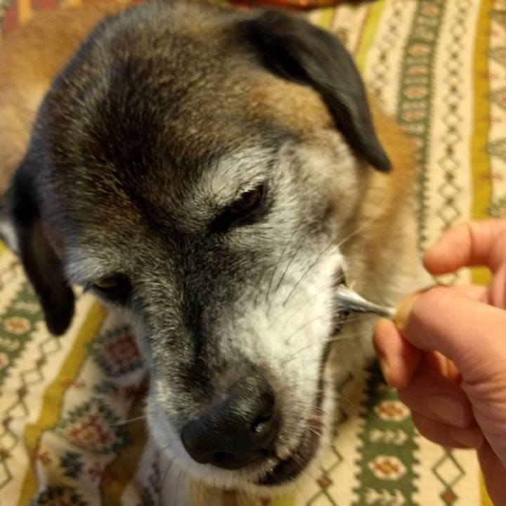 A50a36d9 846e 49da be98 f813c88cfbeb