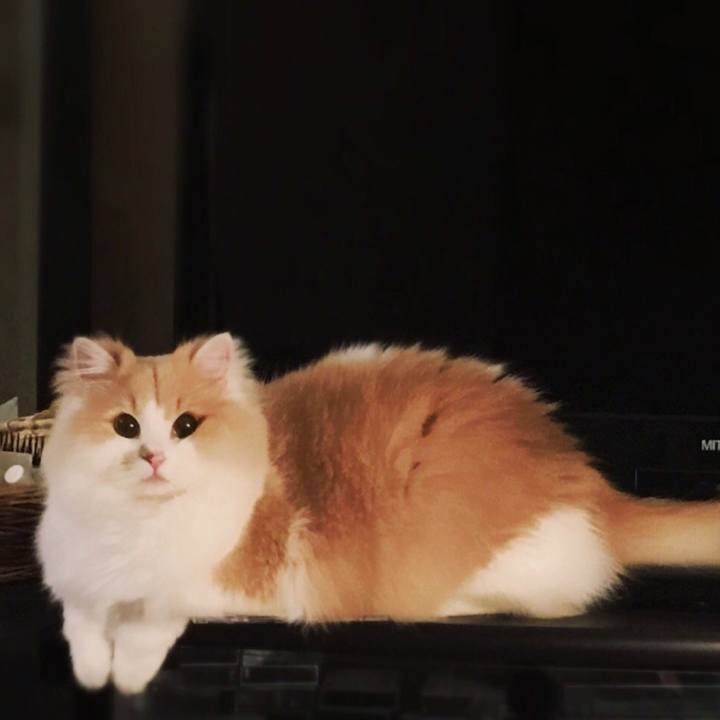 A50aa948 f0dc 4917 b95b c6b5b340c32d