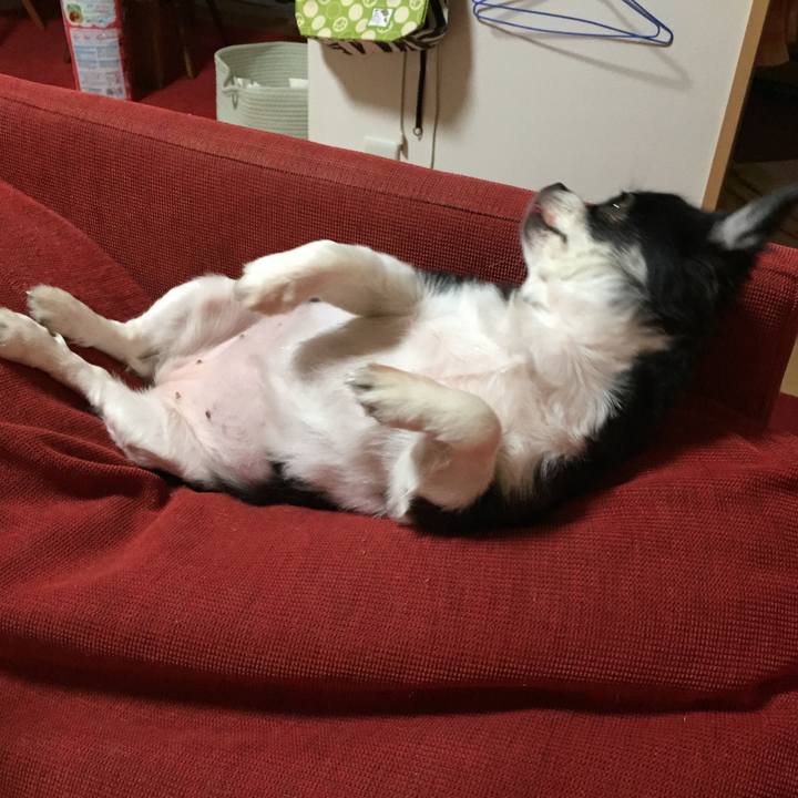 A50b2510 ddd2 4b4d b2d1 4d301c110b87