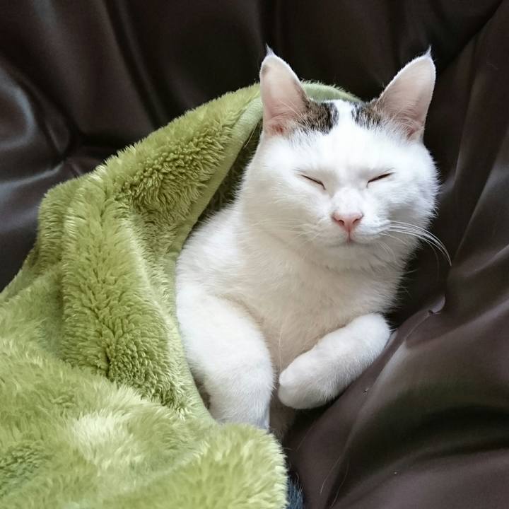 A50b9664 6e3e 4876 ac26 0506e9543aba