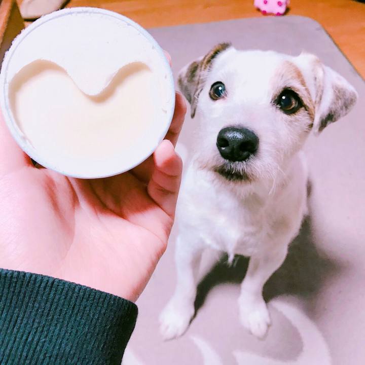 A50c40dd 1746 4577 a554 e520e087807e