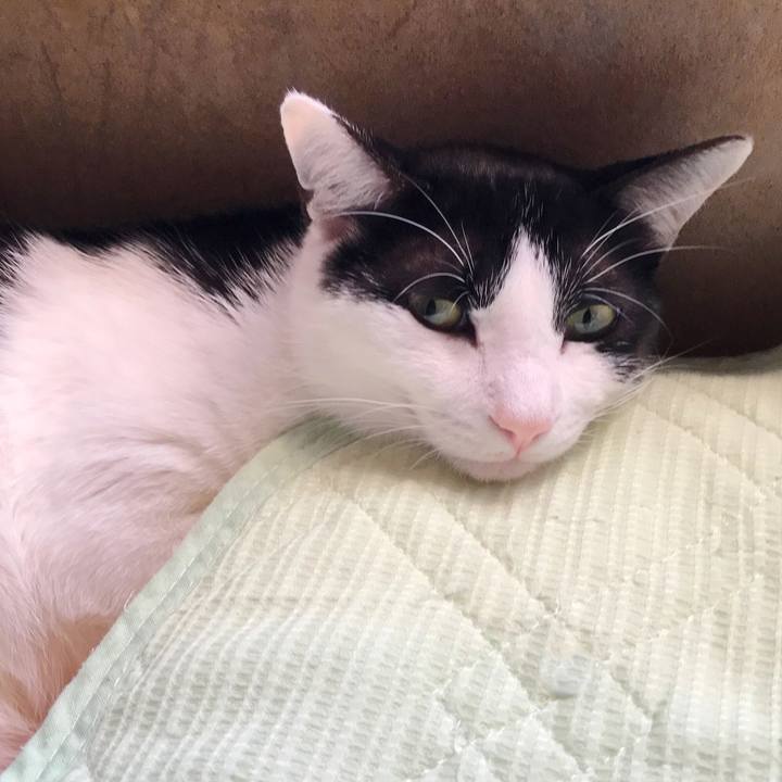 A50ca9b2 cde3 4fa7 9b0d ddef033a14e7